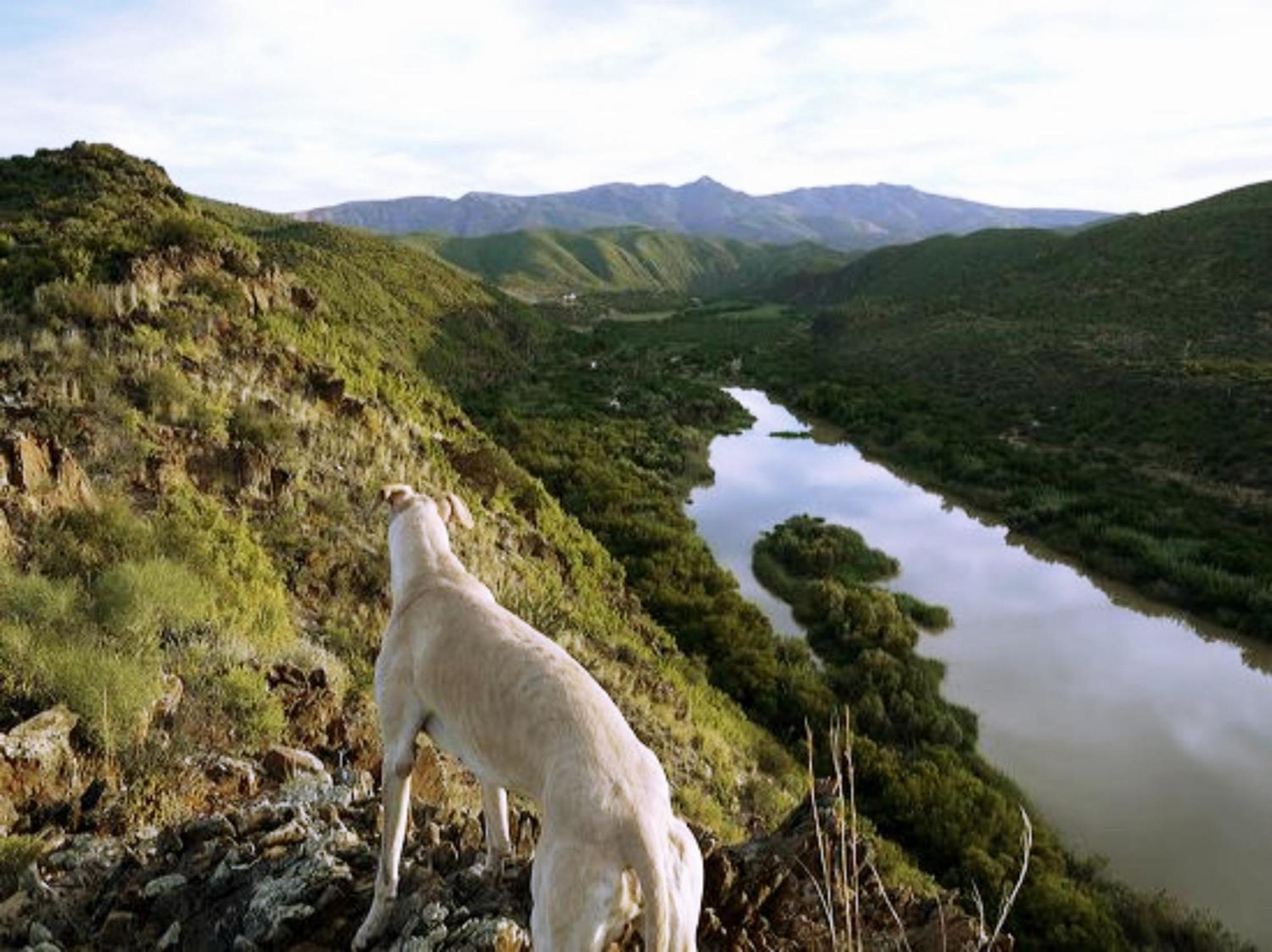 River View Cottages Calitzdorp Exterior foto